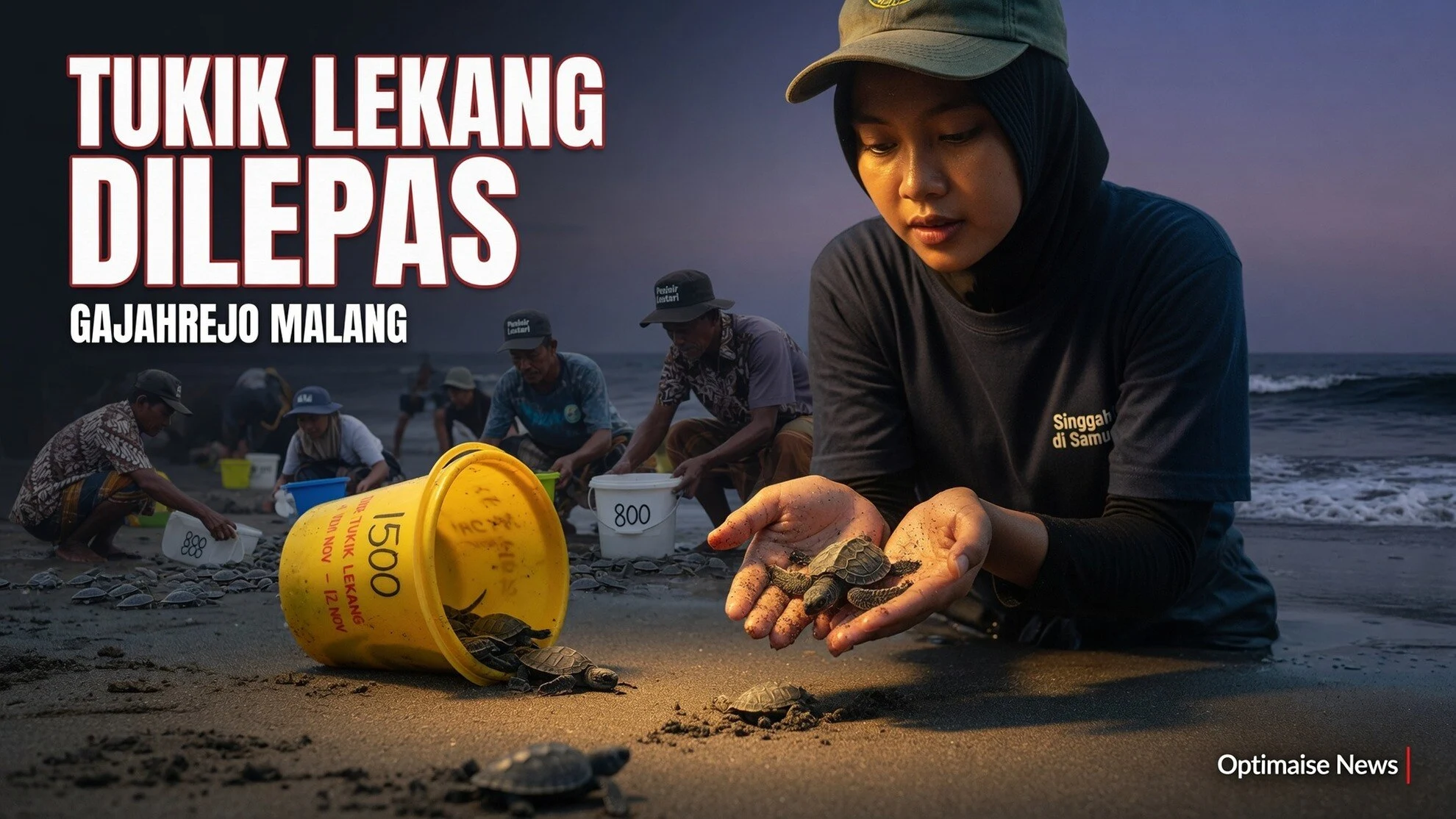 1.500 Tukik Lekang Dilepas di Gajahrejo lewat Ibu Kota Penyu