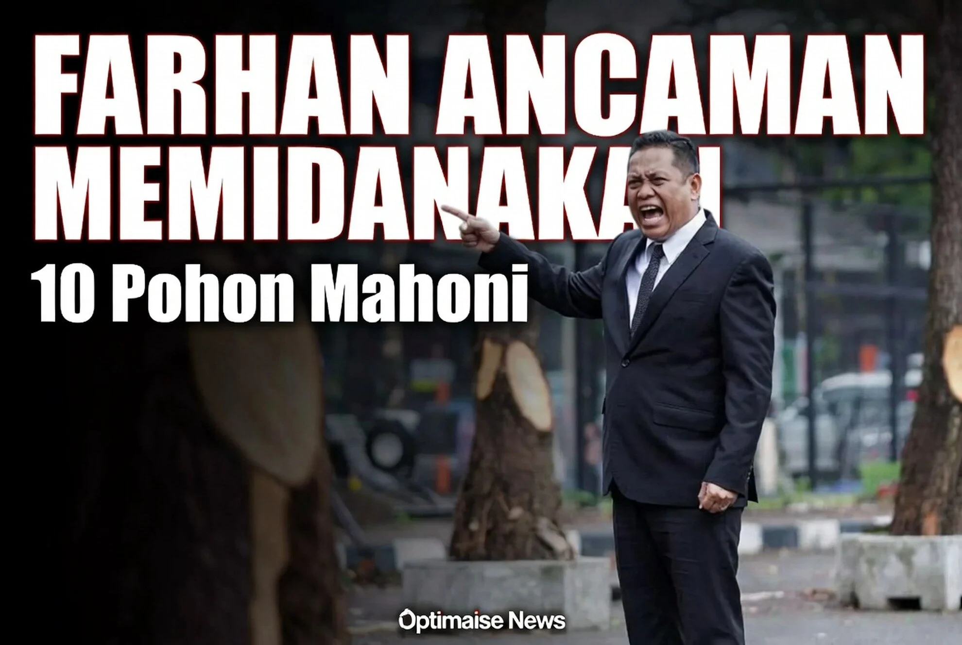 Farhan Ancaman Memidanakan Pelaku Penebangan 10 Pohon Mahoni